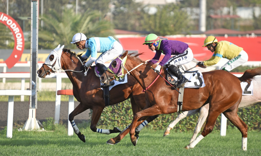 AMAN DULO’dan ilk G1 Harem zaferi… AMAN DULO’dan ilk G1 Harem zaferi…