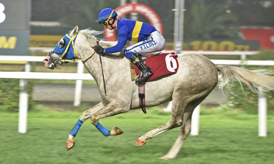 Şenalptuğ – Gürkan H. Oker Koşusu’nda Anlamlı Galibiyet! Şenalptuğ – Gürkan H. Oker Koşusu’nda Anlamlı Galibiyet!