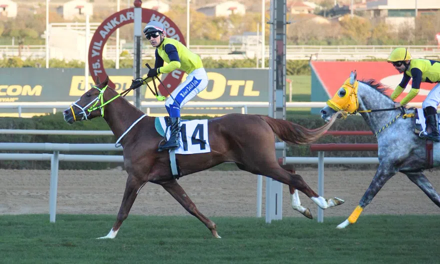 Mehmet Salih Çelik, Antalya Menajerliği İçin Anlaştı