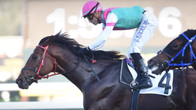 Build Your Dreams, Sakarya Koşusu’nu Kazandı