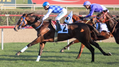 Ankara Sezonunun Kapanış Kupası’nı Diluvio Kazandı