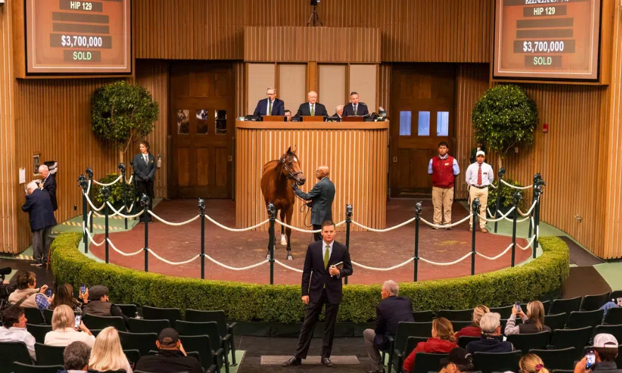 Keeneland 2025: Türk Yetiştiriciler ABD’de Stratejik