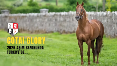 Cotai Glory 2026 Aşım Sezonunda Türkiye’de Hizmet Verecek