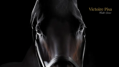 TJK, 2026 Aşım Sezonu Aygır Ücretlerini Duyurdu