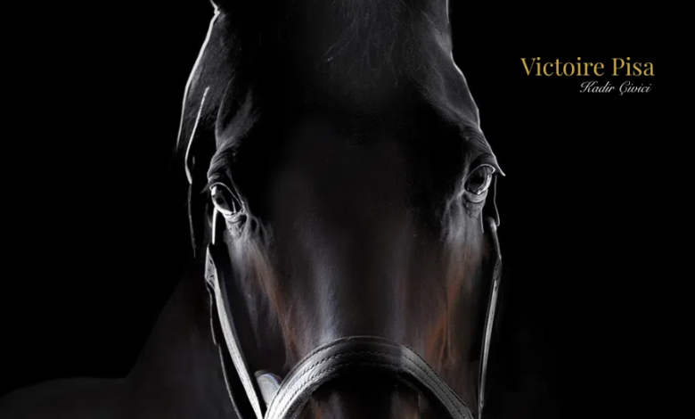 TJK, 2026 Aşım Sezonu Aygır Ücretlerini Duyurdu TJK, 2026 Aşım Sezonu Aygır Ücretlerini Duyurdu